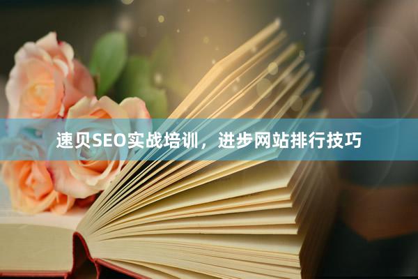 速贝SEO实战培训，进步网站排行技巧